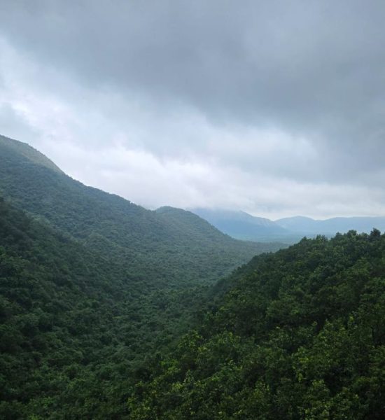 c7e5a213e44b77350b4a8fb5dc3f7391